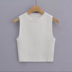 White Slim Fit Knit Crop Top